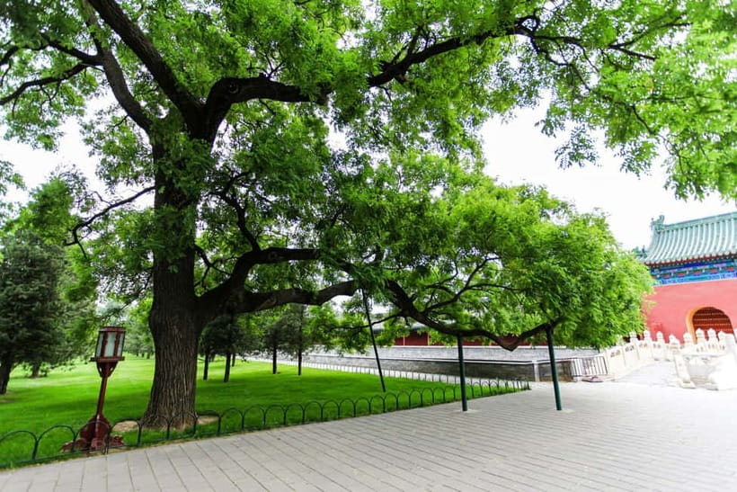 Beijing：Forbidden City Tour—Temple, Summer Palace&Great Wall - Walking, weather, and practical limits