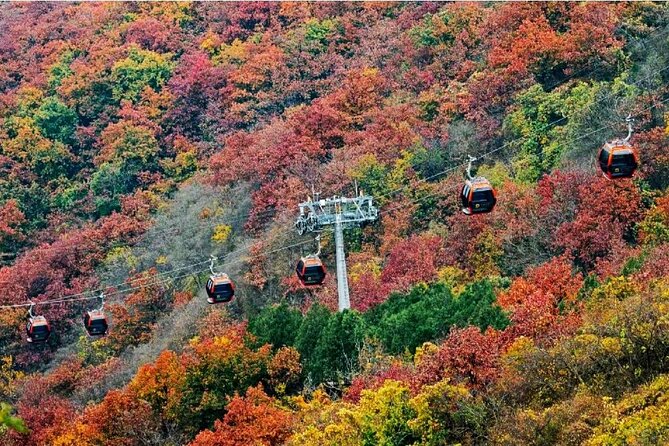 Beijing Great Wall Private Day Tour from Shanghai by Bullet Train - Why this Shanghai to Beijing trip is unusual