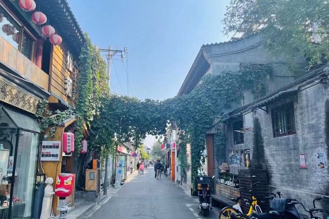 Beijing Half Day Private Tour : Lama Temple, Confucius Temple, WuDaoYing Hutong - Who Will Get The Most From This Tour?