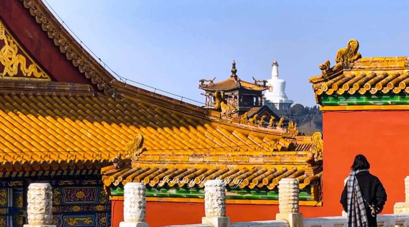 Beijing: Highlights of Forbidden City Private Walking Tour - The Great Wall option at Mutianyu