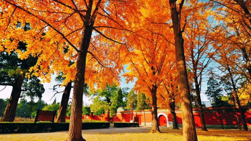 Beijing: JingShan park (palace museum garden) entry ticket - Why Jingshan Park Deserves a Place in Your Beijing Plan