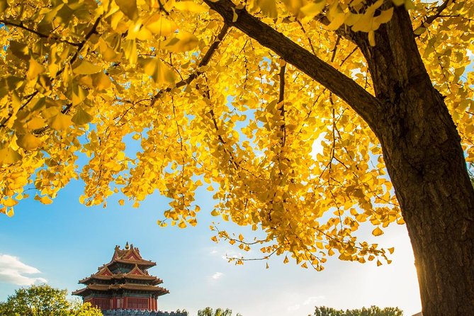 Beijing Layover Tour to Tiananmen Square and Forbidden City - Why the private vehicle matters