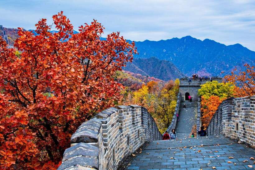 Beijing: Panda House w/Great Wall or City Sites Private Tour - Why the private guide matters