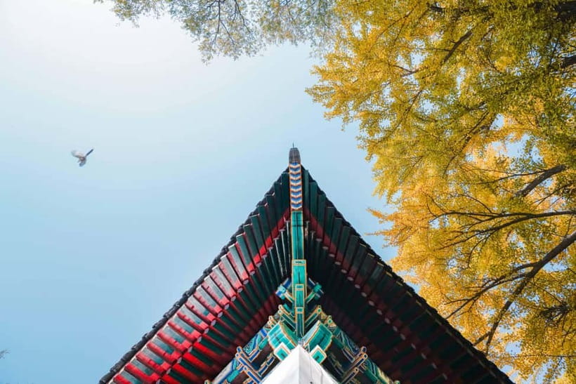 Beijing: Peking University Campus Guided Walking Tour - The Bell Pavilion, Hua Biao, and Qilin statues