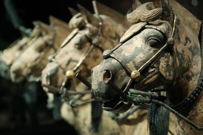 Beijing Private Tour: Xi'an Terracotta Warriors by Bullet Train - What a strong guide adds in two hours