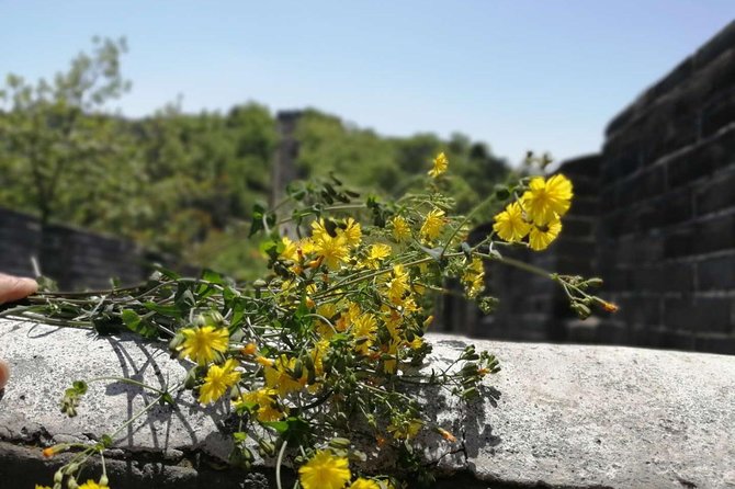 Beijing Private Transfer: Badaling Great Wall with VIP Past Pass - The drive to Badaling and what VIP access means