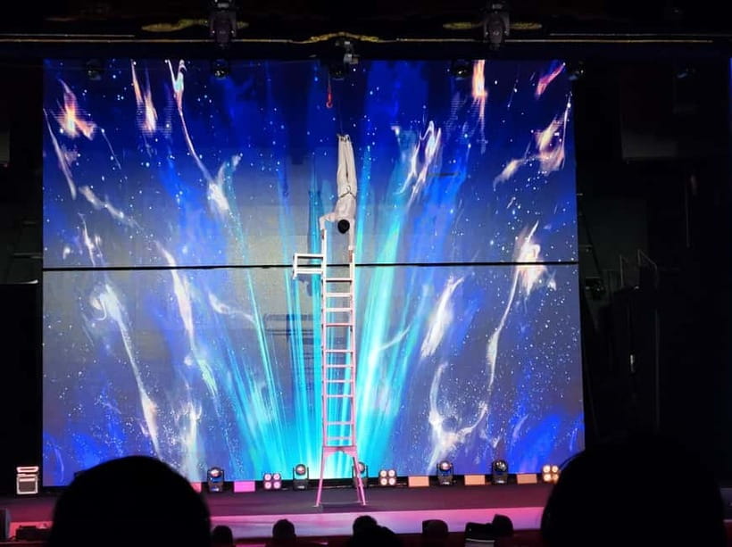 Beijing: Qinle Palace Acrobatics Show Ticket - Who will enjoy this most