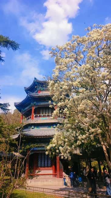 Beijing: Summer Palace Highlight Walking Tour - Hall of Joyful Longevity and the imperial household