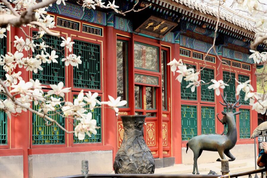 Beijing: Summer Palace, Sacred Road&Ming Tombs Private Tour - Key points to know before you go