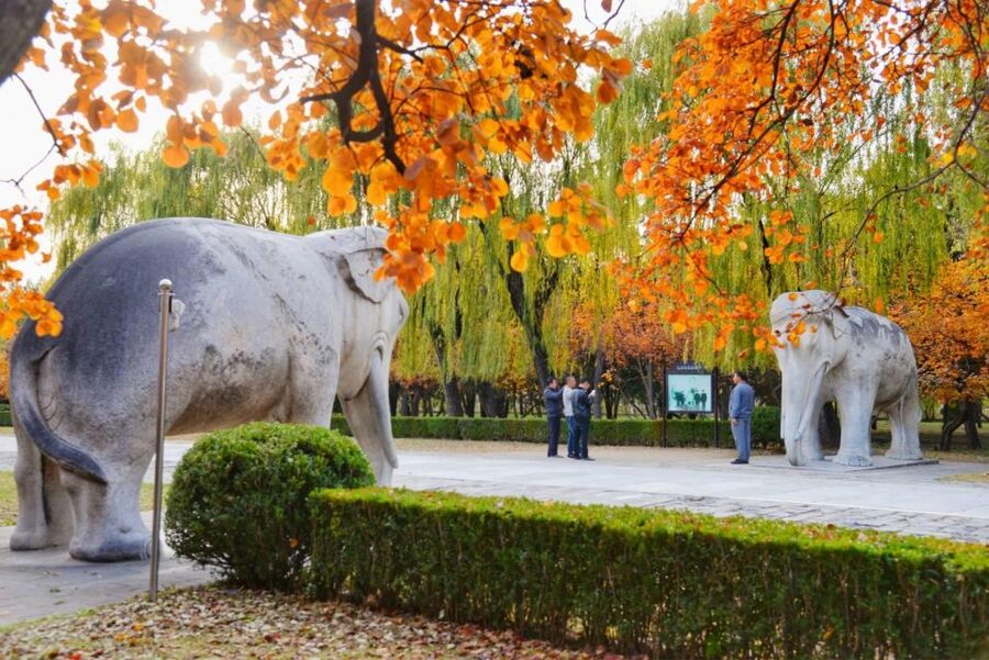 Beijing: Summer Palace, Sacred Road&Ming Tombs Private Tour - Lunch between the imperial sites