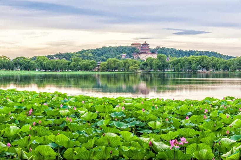 Beijing：Summer Palace & Tea or Calligraphy Experience Tour - Service, language, and the feel of the day