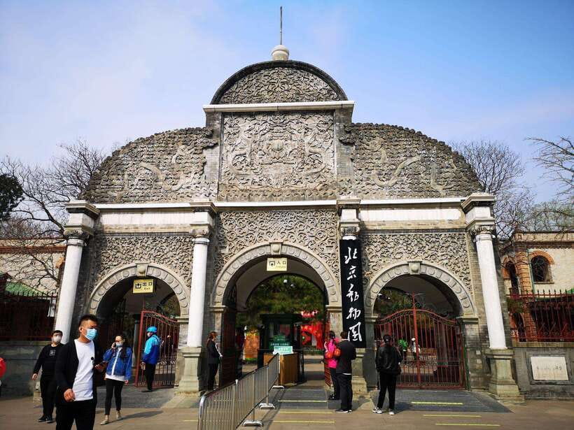 Beijing: The Beijing Zoo Entry Ticket with Pandas - Beyond pandas: monkeys, tigers, bears, and more