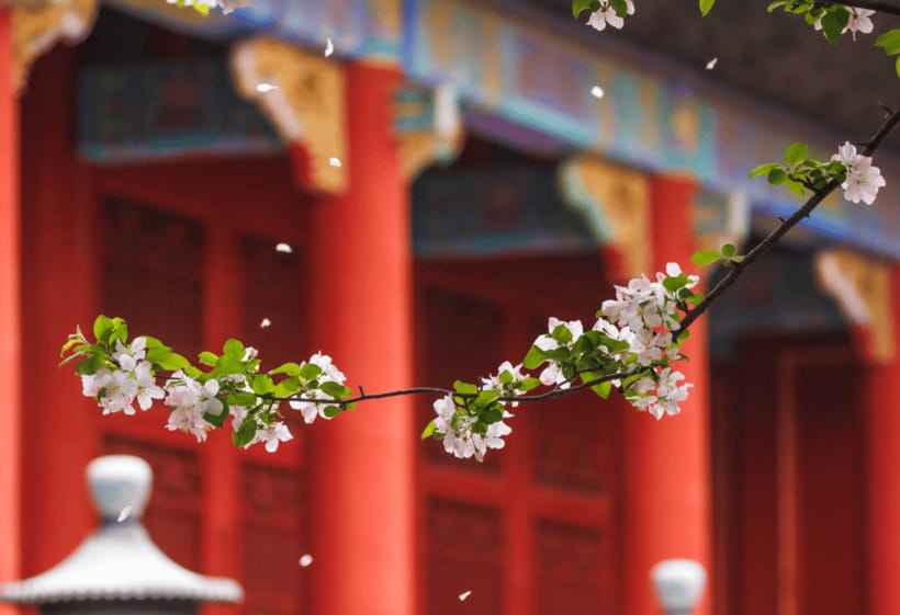 Beijing: Tiananmen Square and Forbidden City Entry Tickets - Hutong food: the most local option