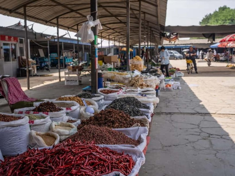 Beijing: Vegan Home Cooking & Local Market Tour with Sanxia - Choosing Vegetables at the Organic Market