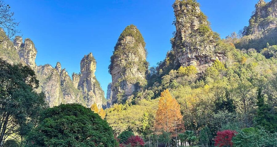 Best Mini Group to Zhangjiajie Forest Park & Avatar Mountain - Lunch is simple and entirely your responsibility