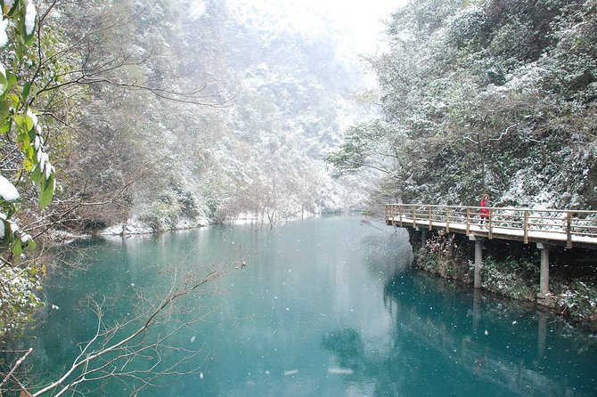 Best Mini Group to Zhangjiajie Forest Park & Avatar Mountains - Riding the Bailong Elevator in 88 seconds
