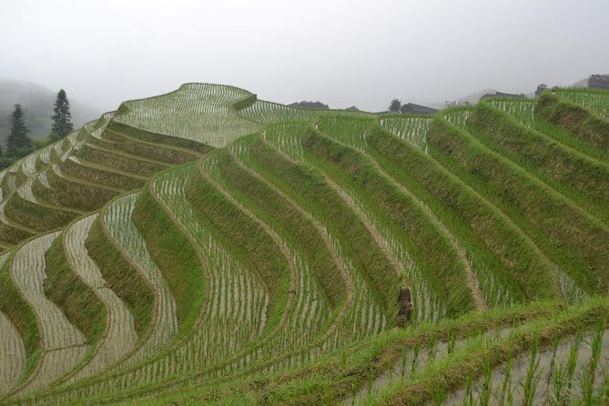 Best of Guilin Li River Xianggong Hill and Yulong River - What the $89 price really covers
