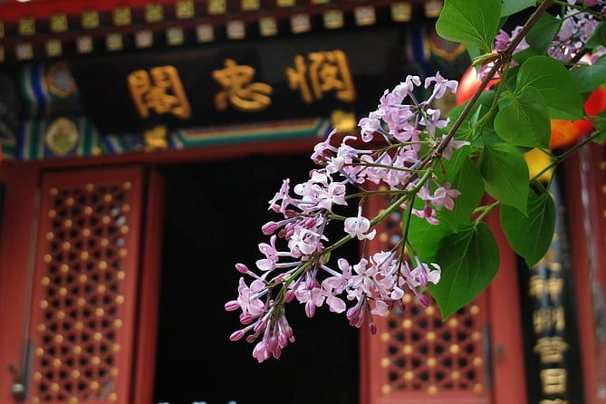 BusDa-Full-Day Bus Trips: Mutianyu, Summer & Old Summer Palaces - Lunch, optional rides, and what the $23 covers