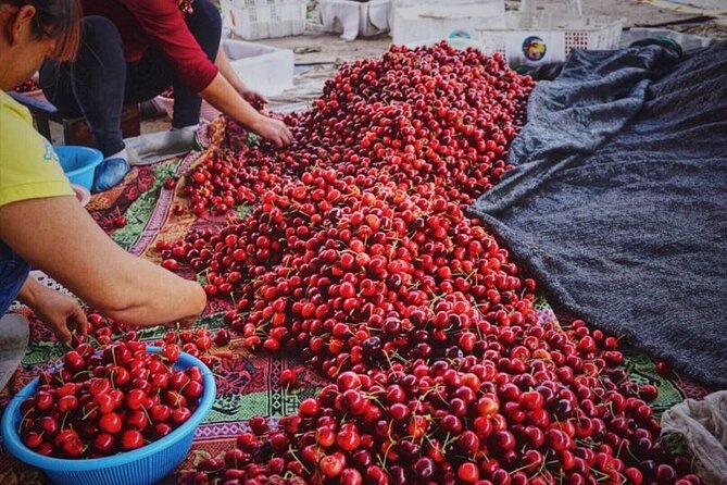 Changsha Walking Food Tour with Private Guide - What to know about pickup and participation