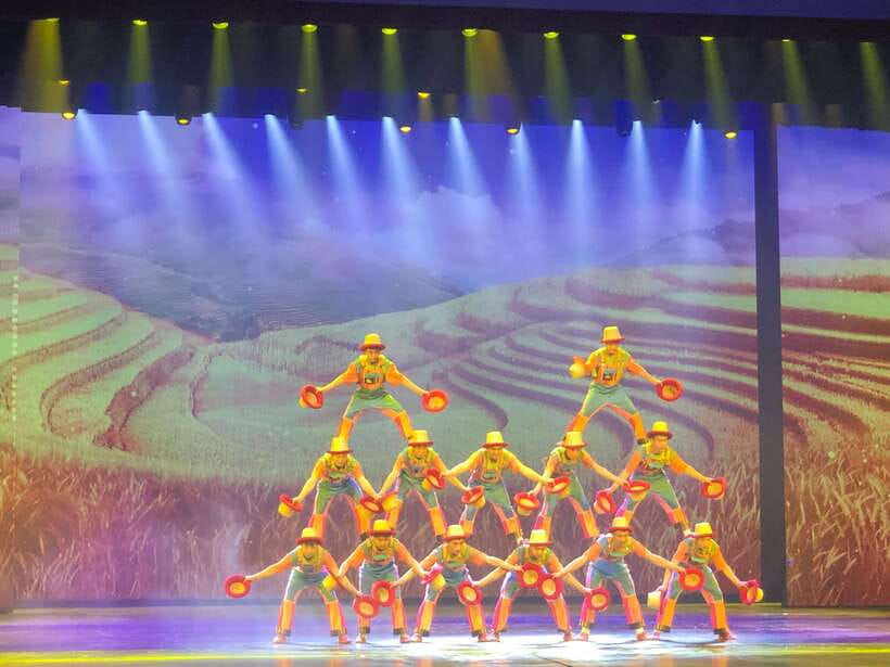 Chaoyang Acrobatics Ticket - The ticket QR code detail you must understand