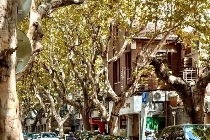 Charming Shanghai French Concession Mini-group Walking Tour - Fuxingfang: a close look at everyday Shanghai