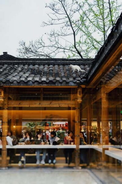 City Walking Tour with Food and Culture Stops