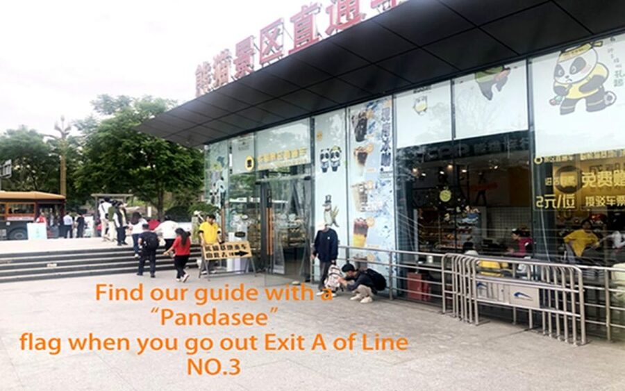 Chengdu panda base half day tour - Booking details worth handling early