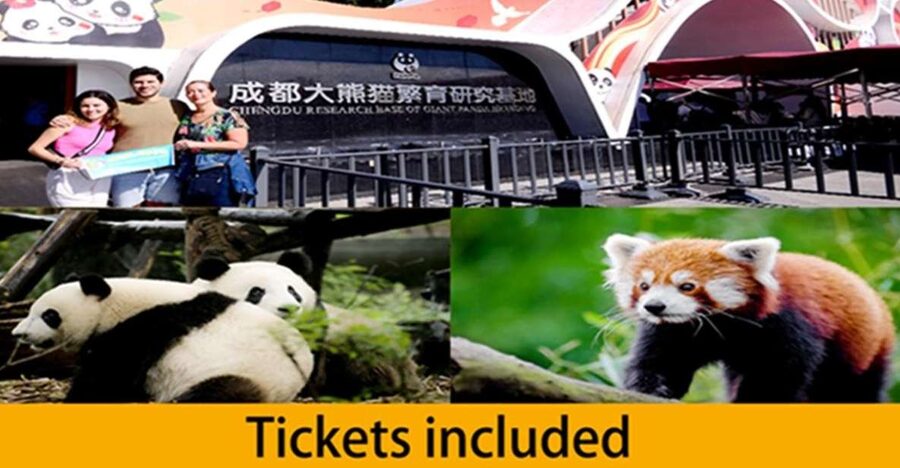 Chengdu panda base half day tour - Why the early hours matter at Chengdu Panda Base