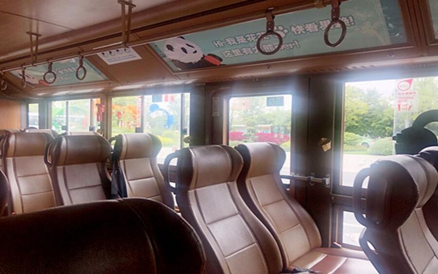 Chengdu panda base half day tour - A guided route through a very large park