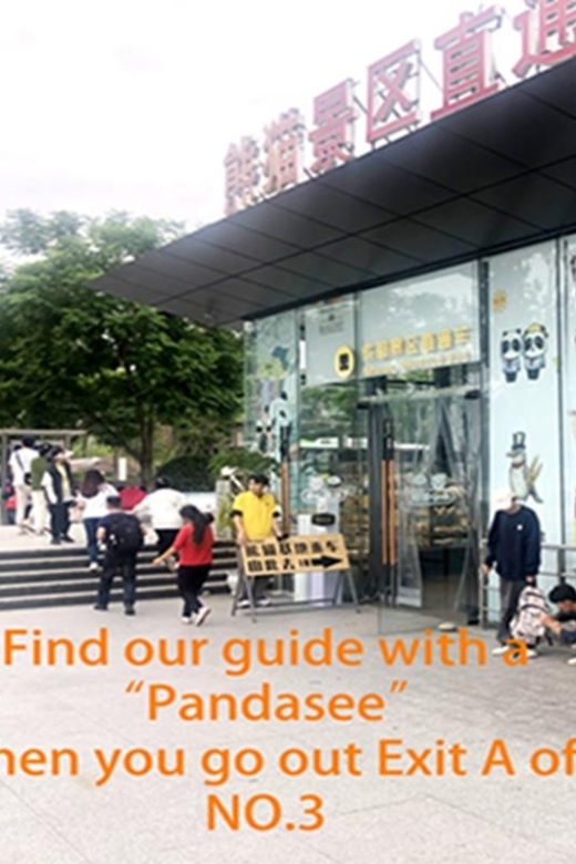 Chengdu panda base half day tour - Meeting at Panda Avenue, then taking the bus