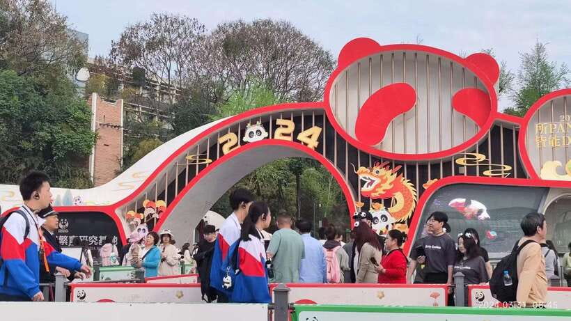 Chengdu: Panda Breeding Base Tickets Booking - The pandas are the main event