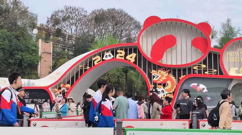 Chengdu: Panda Breeding Base Tickets Booking - Who will enjoy this half-day visit?