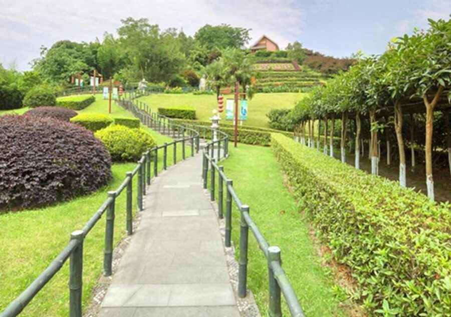 Chengdu panda & Leshan Buddha One Day Private Tour - Why this Chengdu and Leshan pairing works
