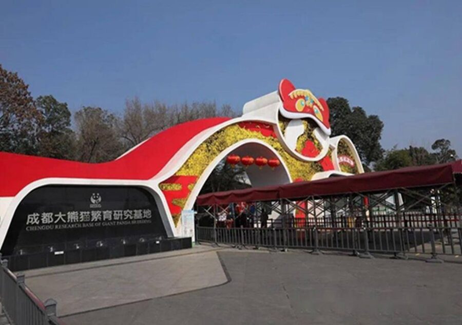 Chengdu panda & Leshan Buddha One Day Private Tour - Starting from your Chengdu hotel