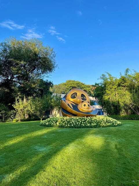 Chengdu: Panda Research Base Ticket or Private Transfer Tour - Accessibility, rules, and required information