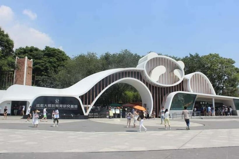 Chengdu: Panda Research Base Ticket or Volunteer Day Trip - Key points to know before booking
