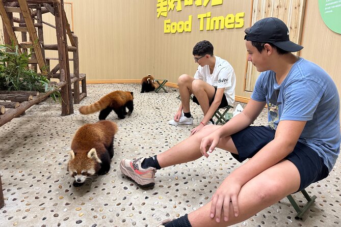 Chengdu: Volunteer Day Experience at Dujiangyan Panda base - Is $231 per person good value?