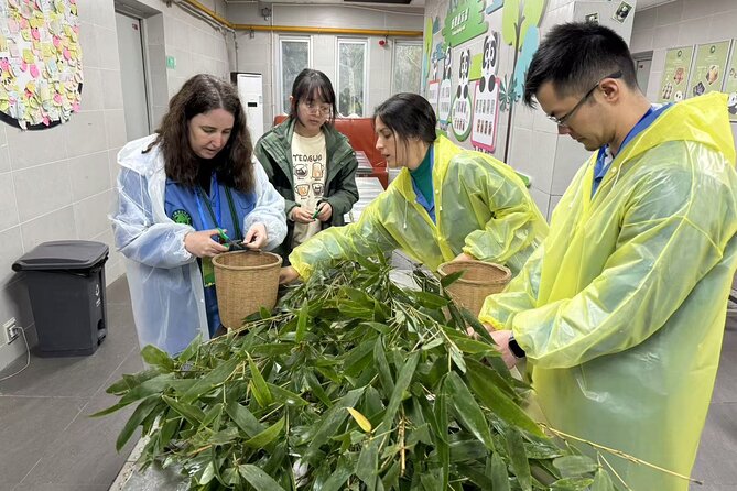 Chengdu: Volunteer Day Experience at Dujiangyan Panda base - The 7:20 pickup and ride from Chengdu
