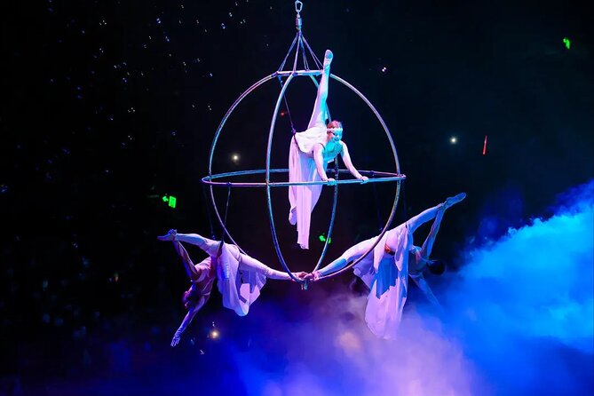 Chimelong International Circus Ticket with Transfer - How the private service handles the practical details