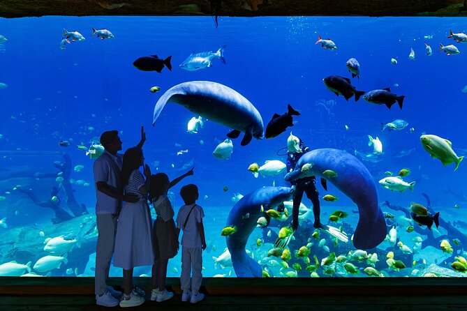 Chimelong Spaceship Theme Park - Entering the 650-meter indoor complex