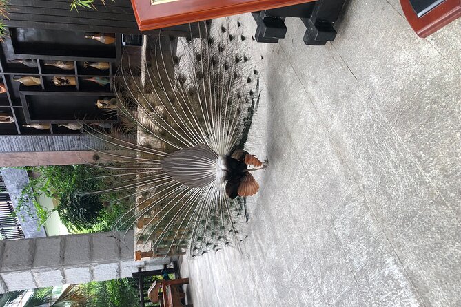 Chongqing Luxury Hot Spring and Massage Luxury Meal Private Tour - Who will enjoy this private tour most?