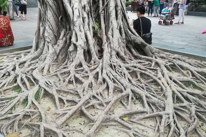 Customised Private Guangzhou City Tour with Flexible Itinerary - Cantonese dim sum at Diandude
