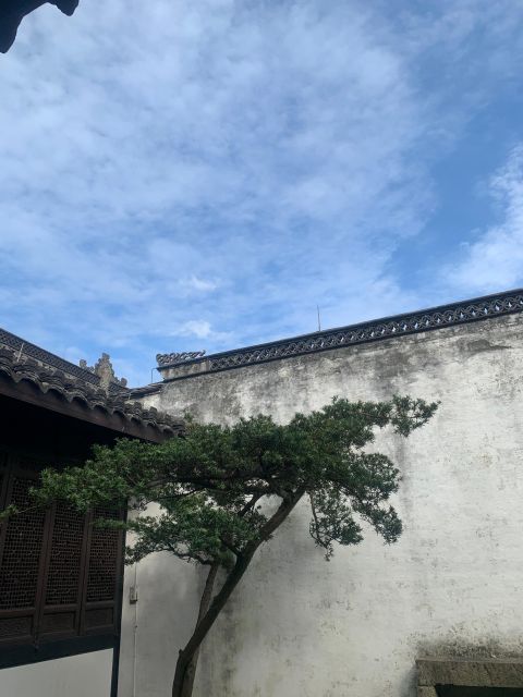 Customized Hangzhou Guided Tour Based on Your Interests - Shopping at Sijiqing Clothes’ Market