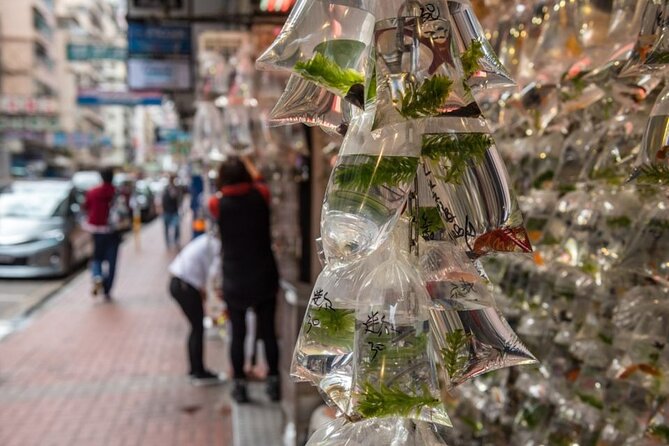 Dark Side of Hong Kong - Kowloon Caged Homes Walking Tour - Hai Tan Street and the sharpest contrast