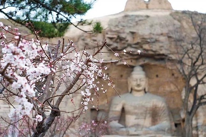 Datong Classic Day Tour - Two and a half hours among the Yungang caves
