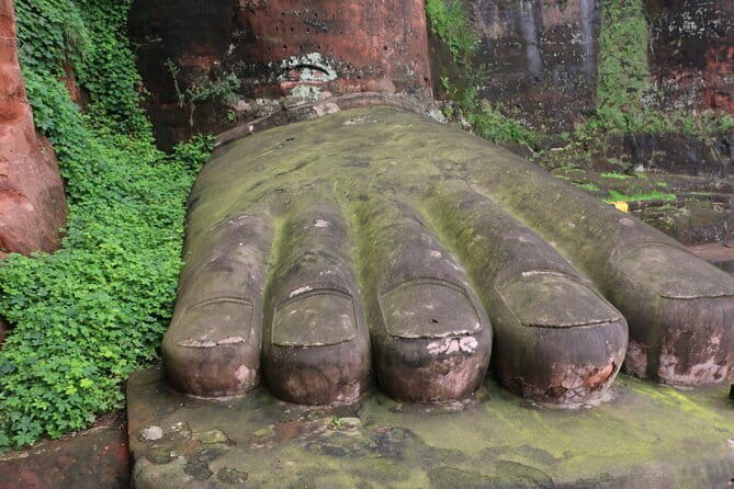 Day tour Chengdu Panda Base Leshan Giant Buddha with local Lunch - The 7:00am panda visit