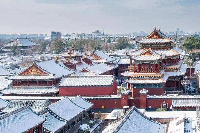 Dim Sum Breakfast&Tailored Beijing Highlights Tour-Pick Your Spot - Guides who add practical help