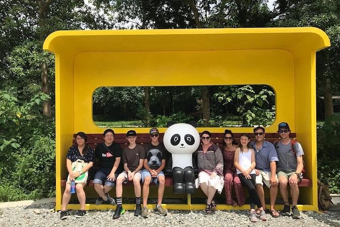 Dujiangyan irrigation+Mt. Qingcheng or Panda Park Day Tour - Dujiangyan Panda Park and its quieter setting