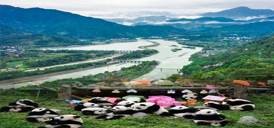 Dujiangyan panda base and irrigation system park day tour - Is $180 per person a fair price?