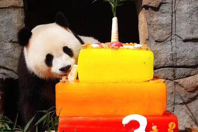 Dujiangyan Panda Base and Mount Qingcheng - A full day from Chengdu to Dujiangyan